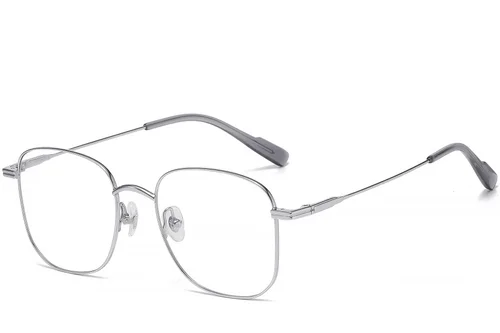 Lunettes géométriques en titane argenté #BS1913-0469