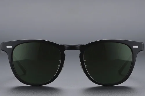 Lunettes de soleil ovales en acétate noir #BS1913-0525