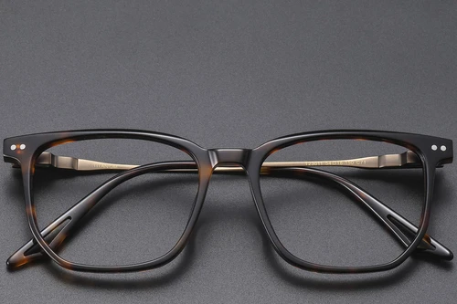 Rectangular Tortoiseshell Acetate Glasses #BS1913-0601