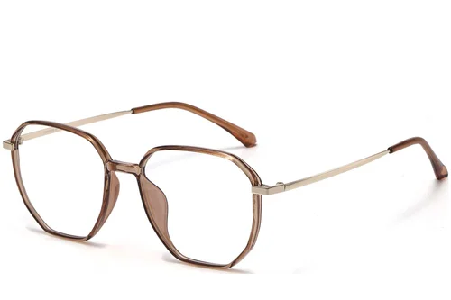 Lunettes géométriques marron TR90 #BS1913-0626