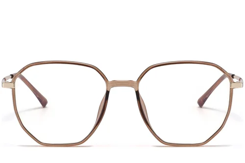 Lunettes géométriques marron TR90 #BS1913-0626