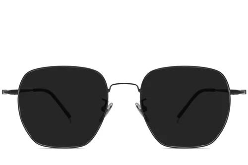 Geometric Black Titanium Sunglasses #BS1913-0635
