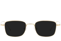 Rectangular Golden Titanium Sunglasses #BS1913-0641