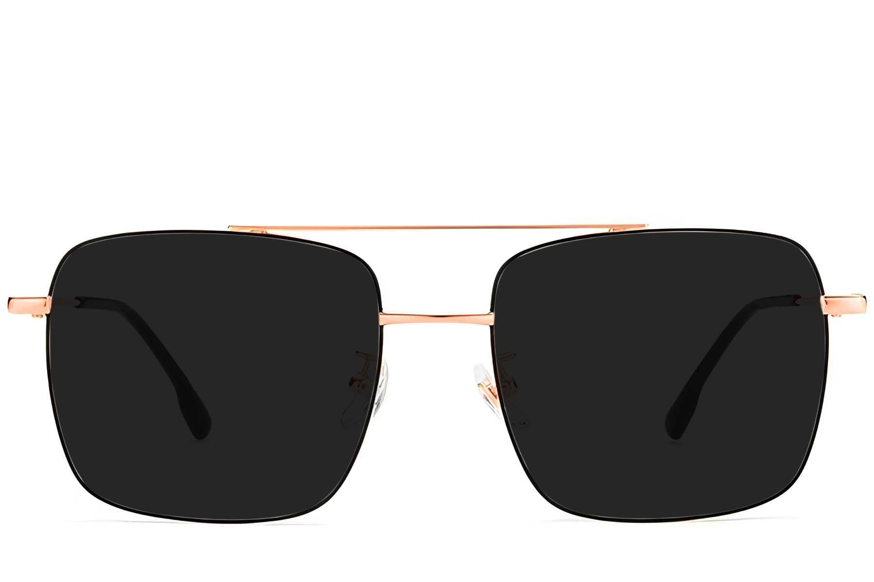 Aviator Black Titanium Sunglasses #BS1913-0677