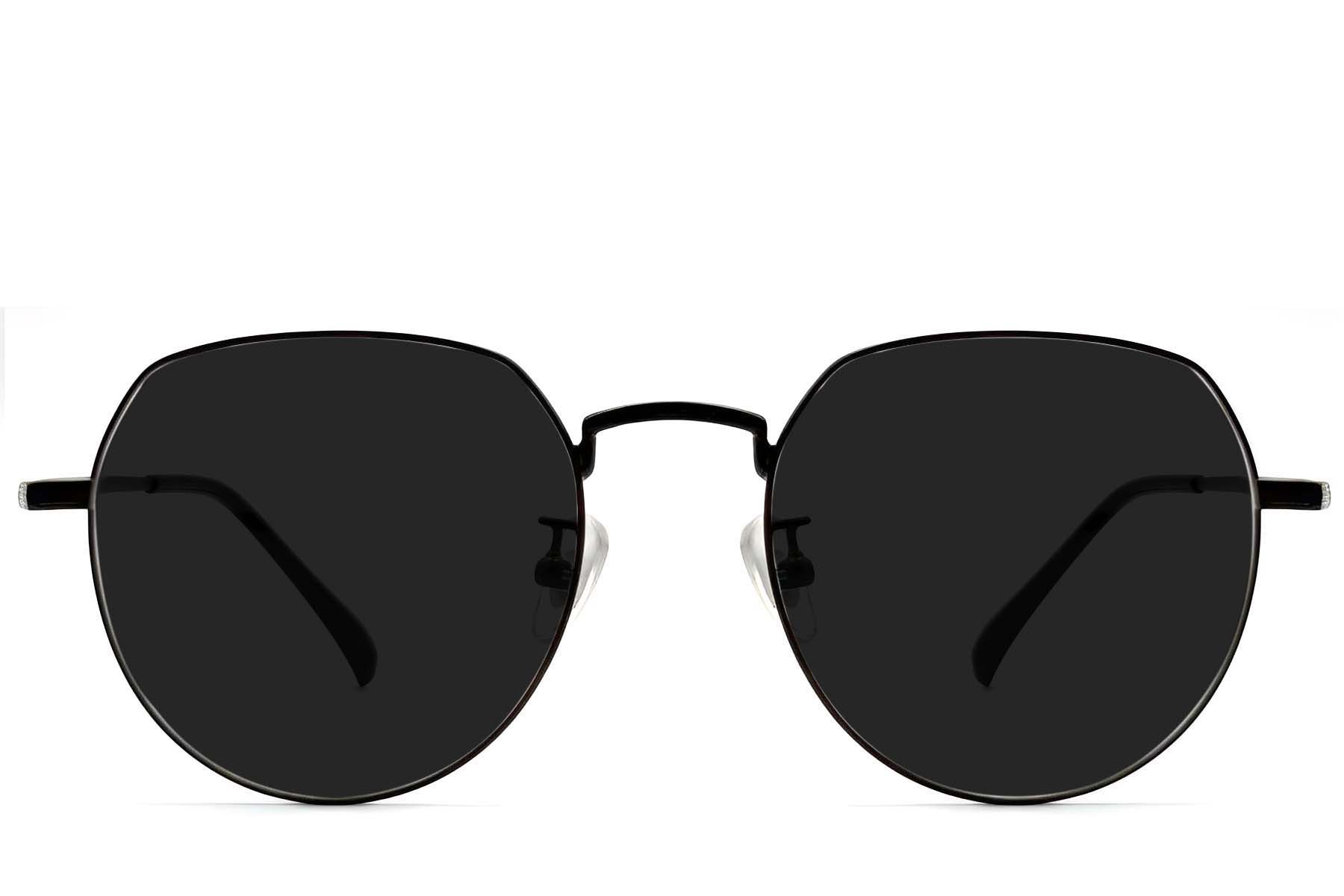 Oval Black Titanium Sunglasses #BS1913-0707