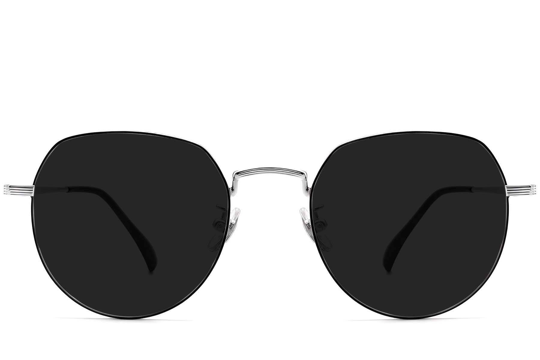 Oval Black Titanium Sunglasses #BS1913-0709