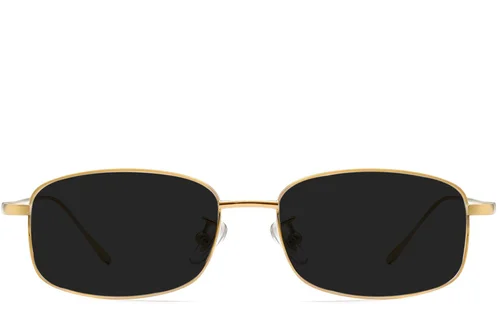 Lunettes de soleil rectangulaires en titane doré #BS1913-0713