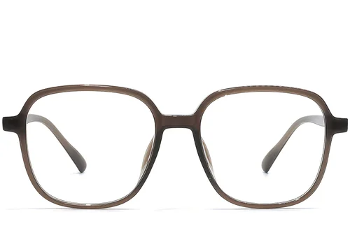 Lunettes géométriques marron TR90 #BS1924-0319