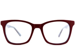 Butterfly Red Acetate Glasses #BS2012-0182