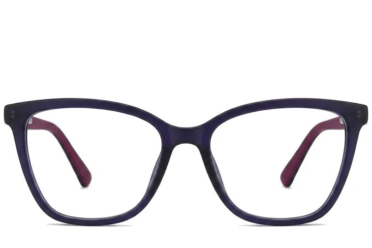 Butterfly Purple Acetate Glasses #BS2012-0323