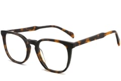 Oval Tortoiseshell Acetate Glasses #BS2012-0357