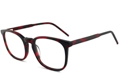 Oval Tortoiseshell Acetate Glasses #BS2012-0371
