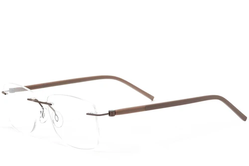 Invisible Brown Metal Glasses #BS2012-0834
