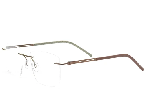 Invisible Brown Metal Glasses #BS2012-0849