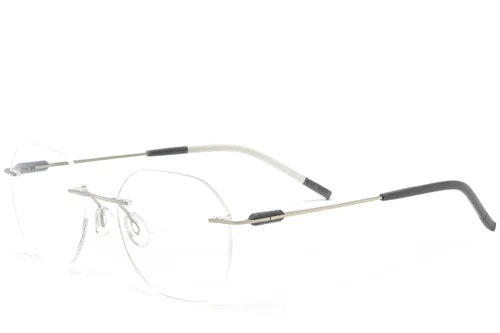 Lunettes invisibles en métal argenté #BS2012-0895