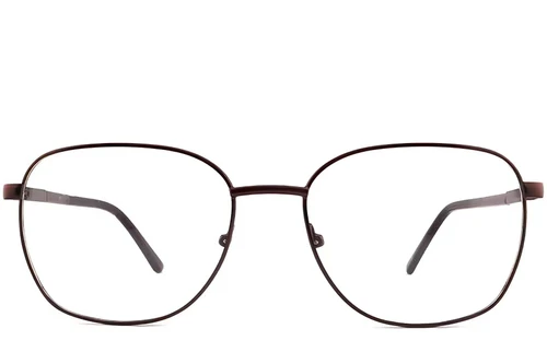 Oval Brown Metal Glasses #BS2012-1074