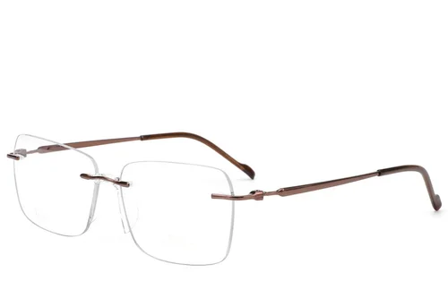 Lunettes invisibles en titane brun #BS2012-1696