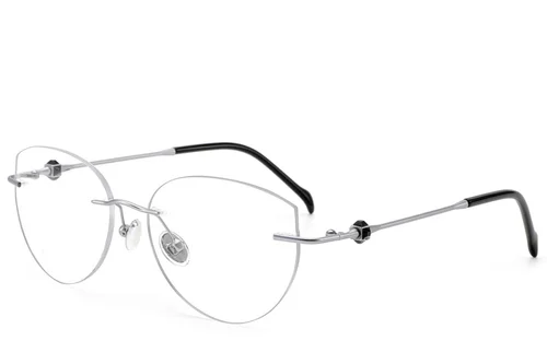 Lunettes invisibles en titane argenté #BS2012-1747