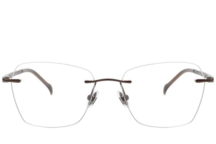 Invisible Brown Titanium Glasses #BS2012-1760