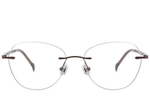 Lunettes invisibles en titane brun #BS2012-1765