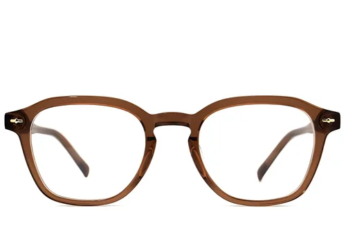 Lunettes rectangulaires en acétate brun #BS2012-2204
