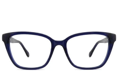 Lunettes en acétate bleu papillon #BS2012-2467
