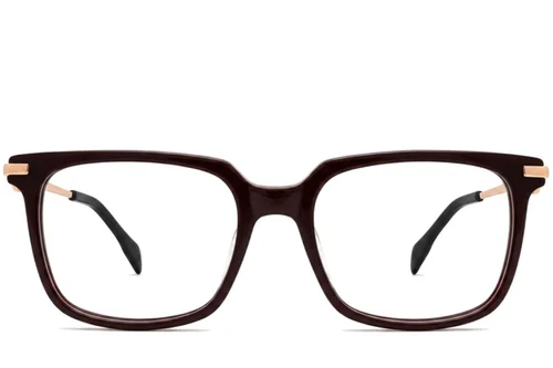 Lunettes rectangulaires en acétate brun #BS2012-2601
