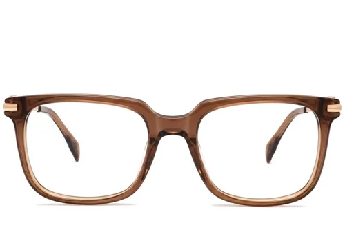 Lunettes rectangulaires en acétate brun #BS2012-2604
