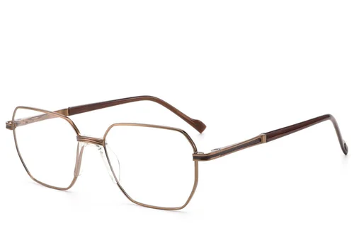 Lunettes géométriques en métal marron #BS2012-3035