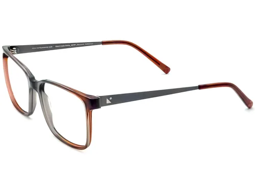 Lunettes rectangulaires en acétate brun #BS2012-3626