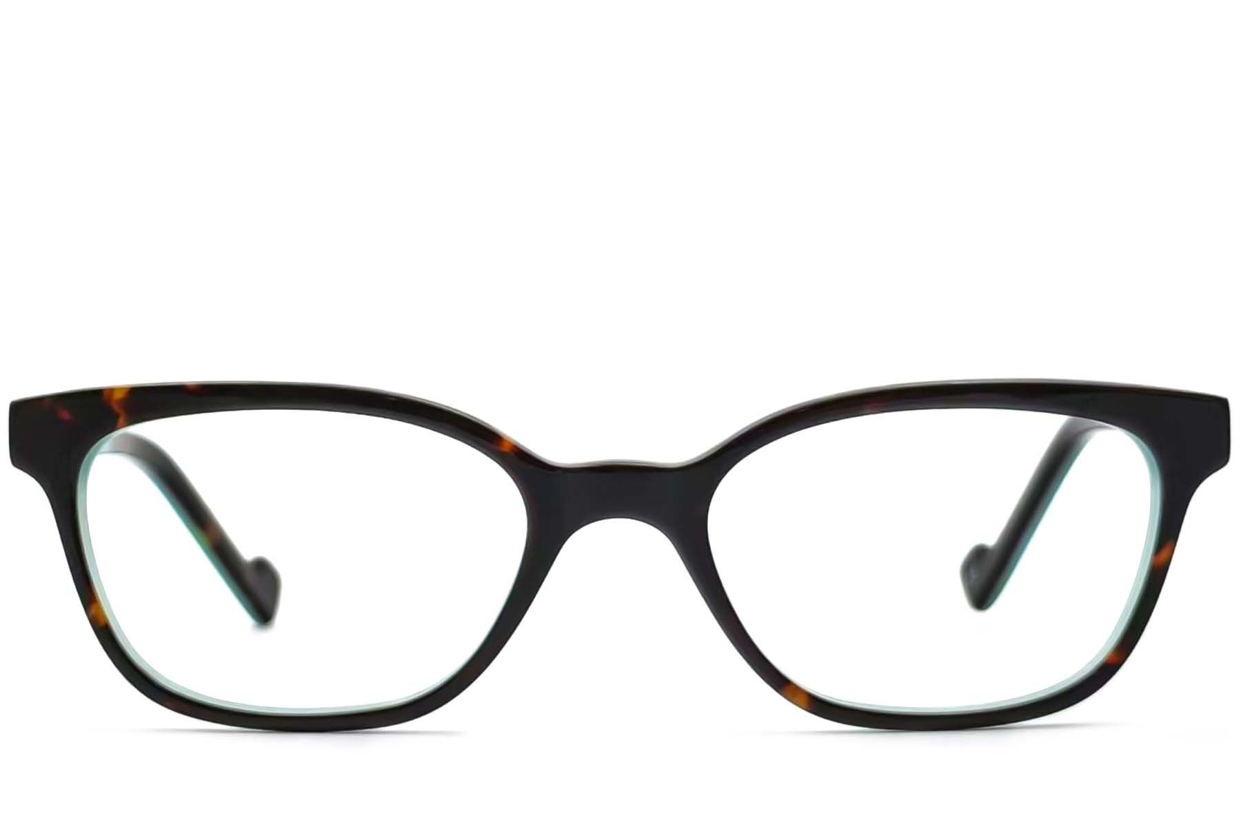 Butterfly Tortoiseshell Acetate Glasses #BS2012-3643