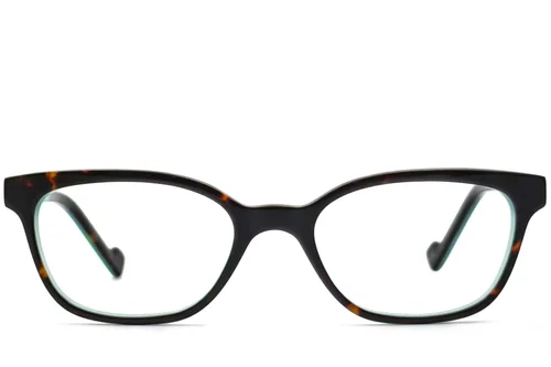 Lunettes en acétate écaille de tortue papillon #BS2012-3643