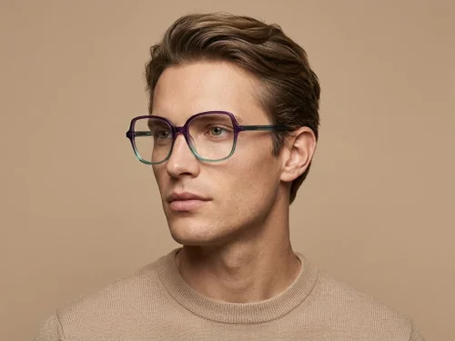 Butterfly Purple Acetate Glasses #BS2012-4061