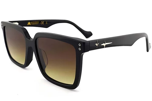 Lunettes de soleil rectangulaires en acétate noir #BS2012-4100