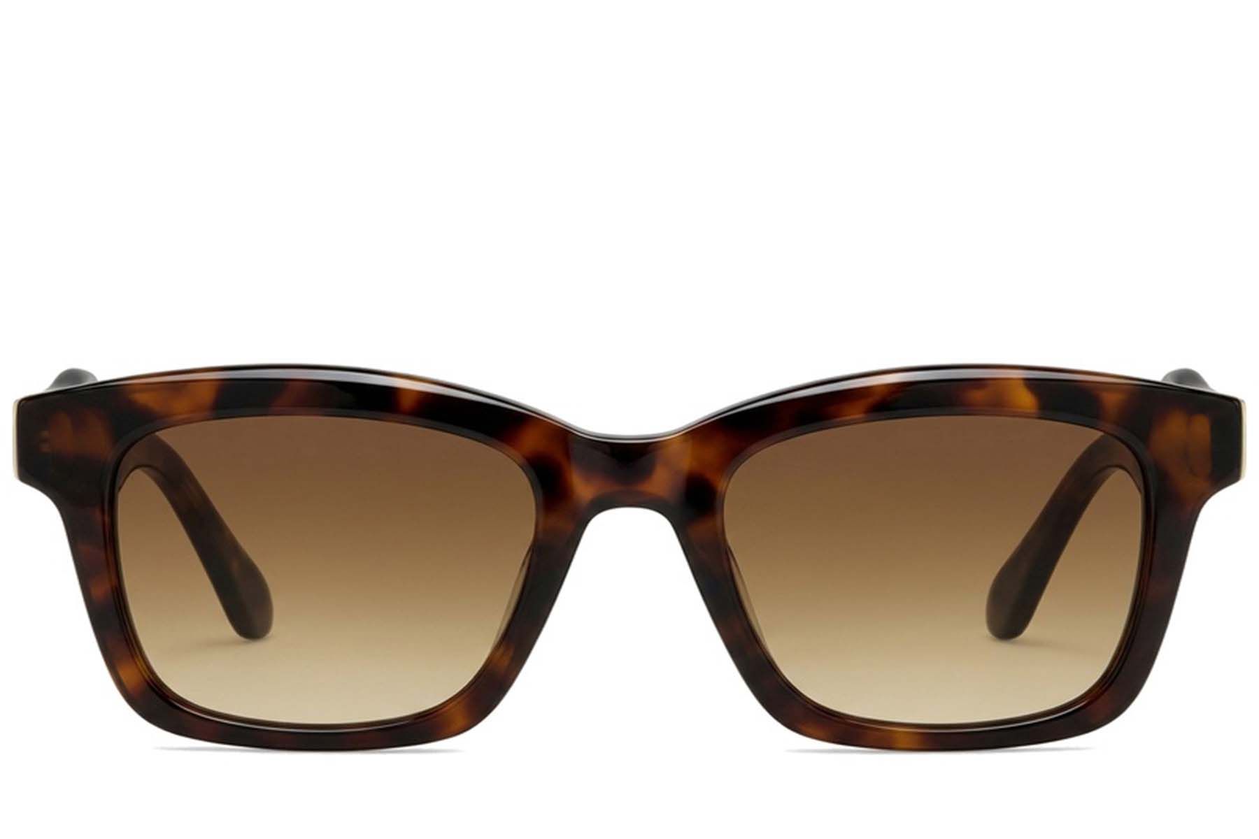 Rectangular Tortoiseshell Plastic Sunglasses #BS225-0127