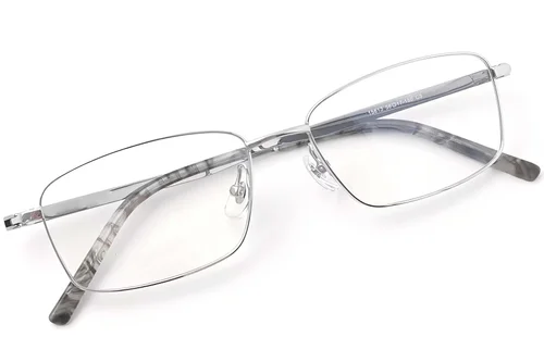 Lunettes rectangulaires en titane argenté #BS2419-0053