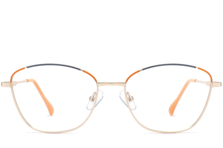 Butterfly Orange Metal Glasses #BS2425-0041