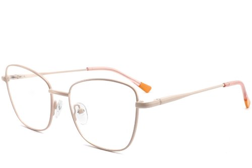 Lunettes papillon en métal marron #BS2425-0308