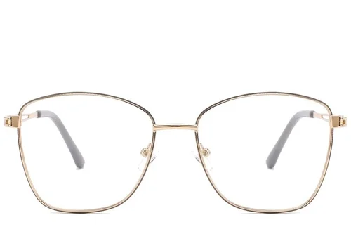 Lunettes papillon en métal gris #BS2425-0490