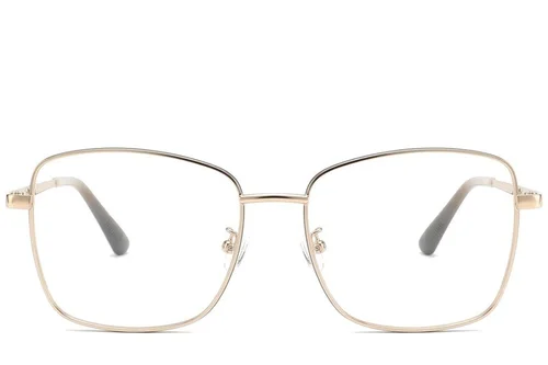 Lunettes rectangulaires en métal gris #BS2425-0519