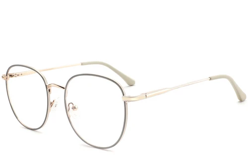 Oval Gray Metal Glasses #BS2425-0531