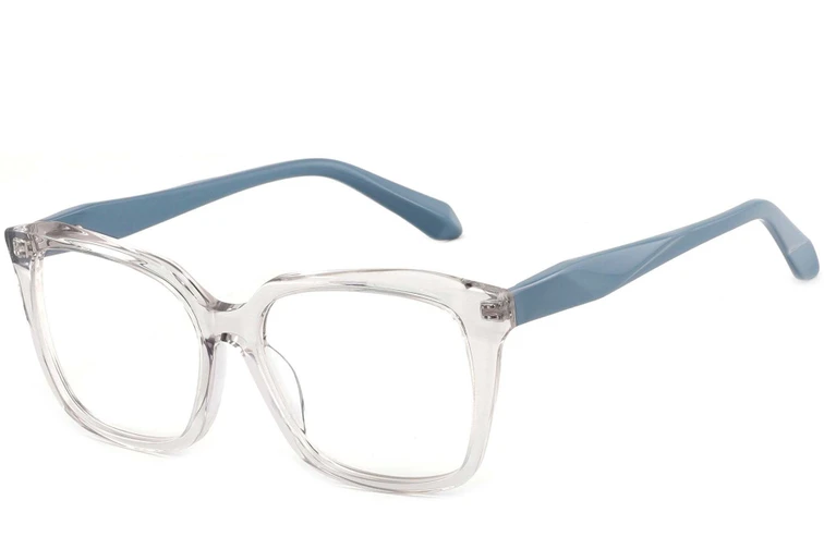 Butterfly Transparent Acetate Glasses #BS2425-0671