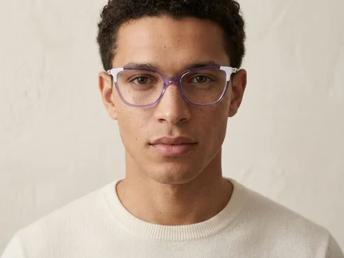 Lunettes papillon en acétate violet #BS2425-0751