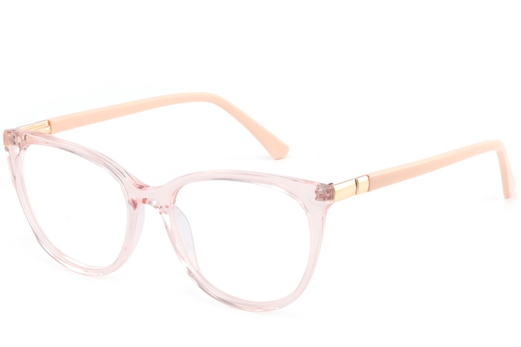 Butterfly Transparent Acetate Glasses #BS2425-0912