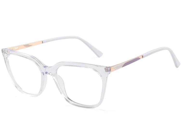 Rectangular Transparent Acetate Glasses #BS2425-0928