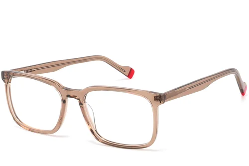 Lunettes rectangulaires en acétate brun #BS2425-0964