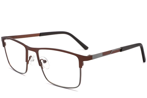 Rectangular Brown Metal Glasses #BS2425-1144