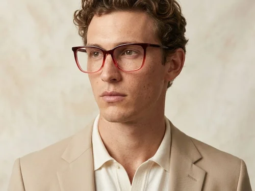 Lunettes papillon en acétate rouge #BS2425-1349