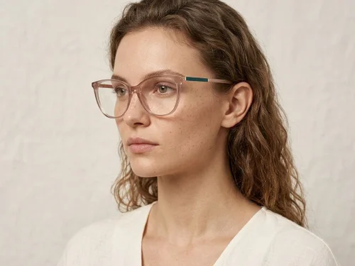 Lunettes papillon en acétate brun #BS2425-1355