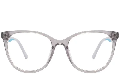 Lunettes en acétate gris papillon #BS2425-1421
